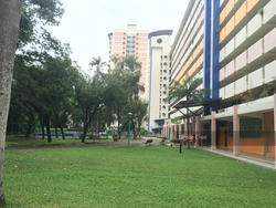 Blk 84 Whampoa Drive (Kallang/Whampoa), HDB 4 Rooms #118266422